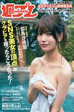 偷得将军半日闲 电视剧